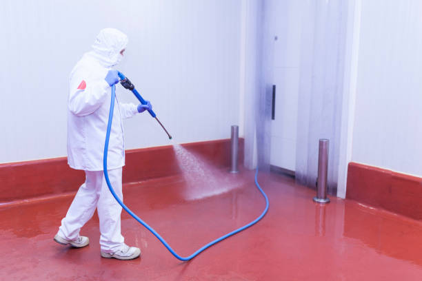 Best Driveway Cleaning and Restoration in Moville, IA